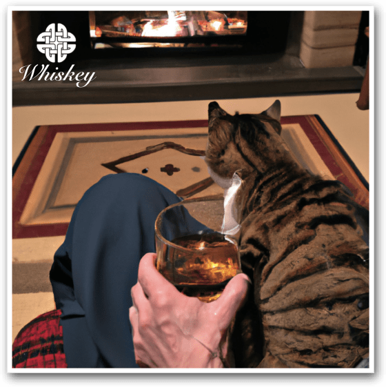 Someone sitting on a chair with a glass of whiskey and his cat at home.